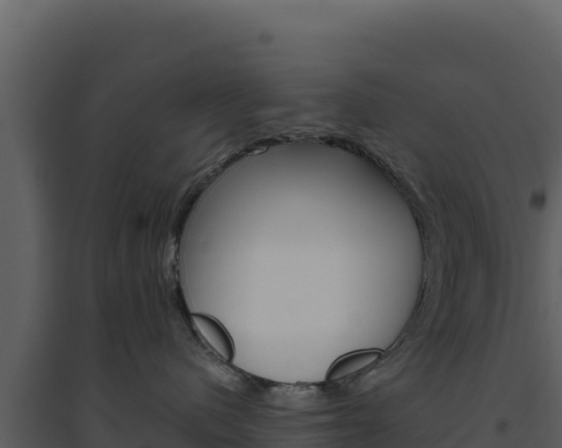 X0000094810480200711161008