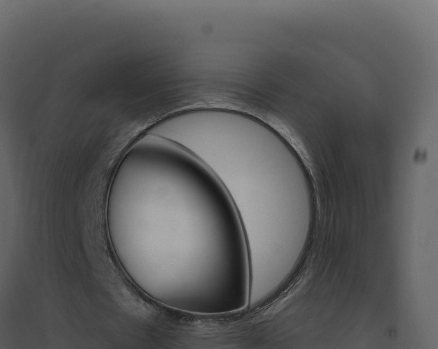 X0000094810481200711161008