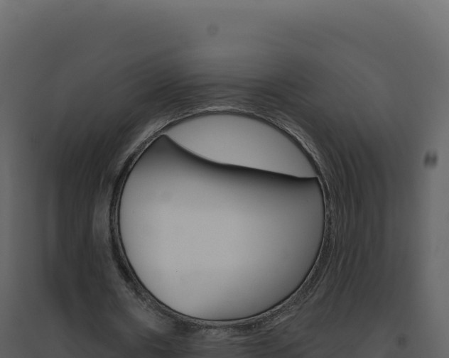 X0000094810482200711161008