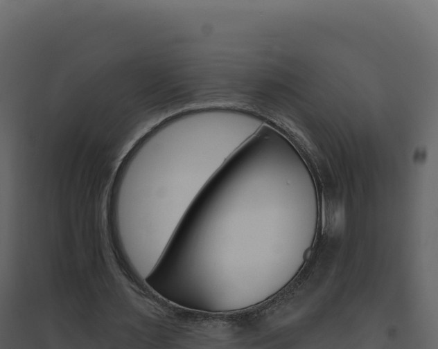 X0000094810483200711161008