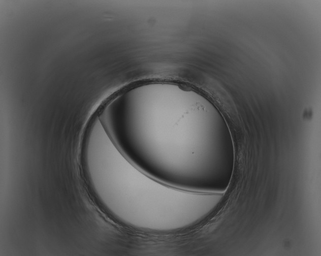 X0000094810484200711161007