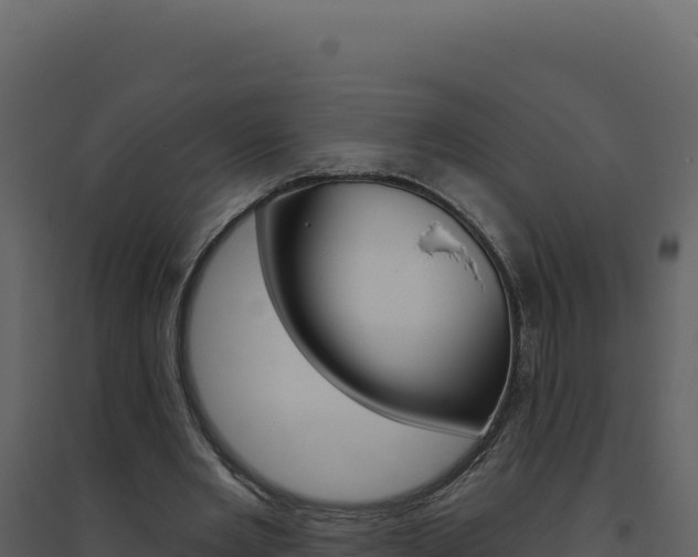X0000094810485200711161007