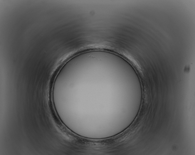 X0000094810486200711161007