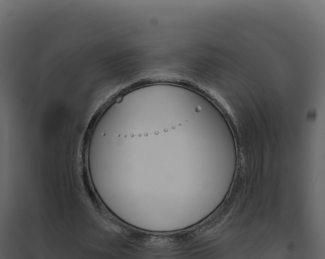 X0000094810487200711161007