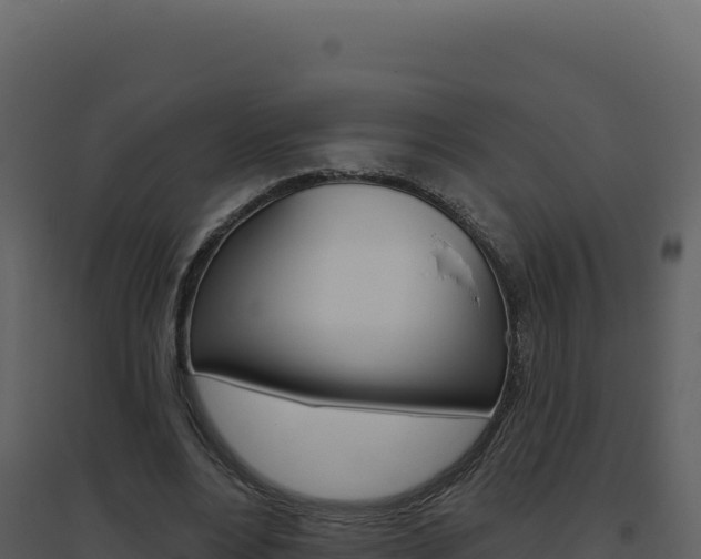 X0000094810488200711161007