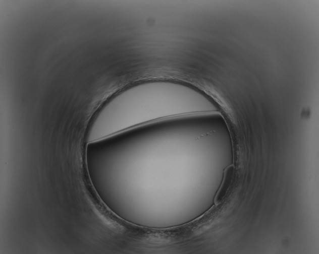 X0000094810489200711161007