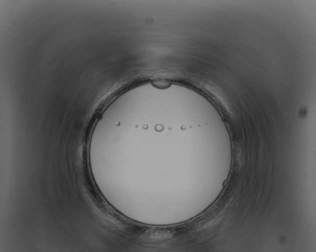 X0000094810491200711161007