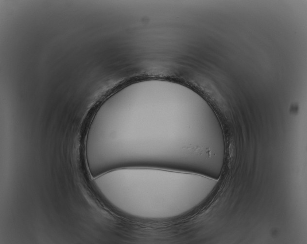 X0000094810492200711161007