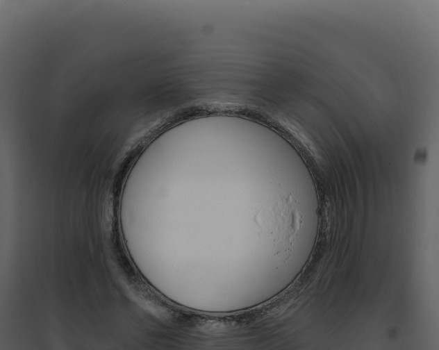 X0000094810494200711161007