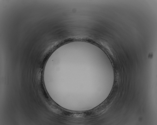 X0000094810495200711161007