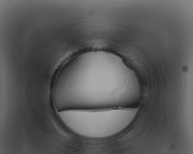 X0000094810496200711161007