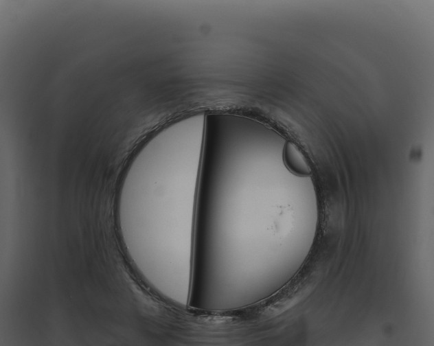 X0000094810497200711161007