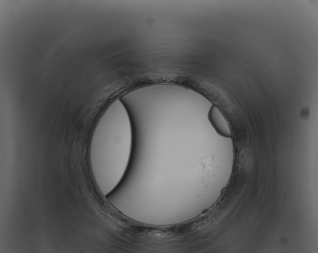 X0000094810498200711161007