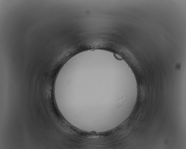 X0000094810499200711161007