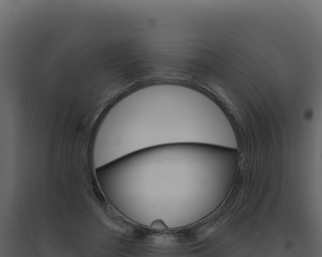 X0000094810500200711161007