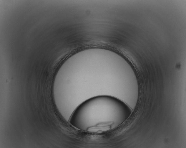 X0000094810501200711161007
