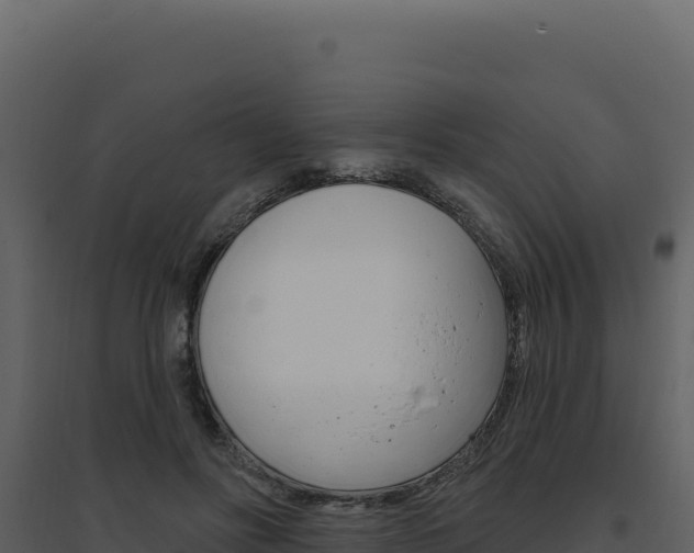 X0000094810502200711161007