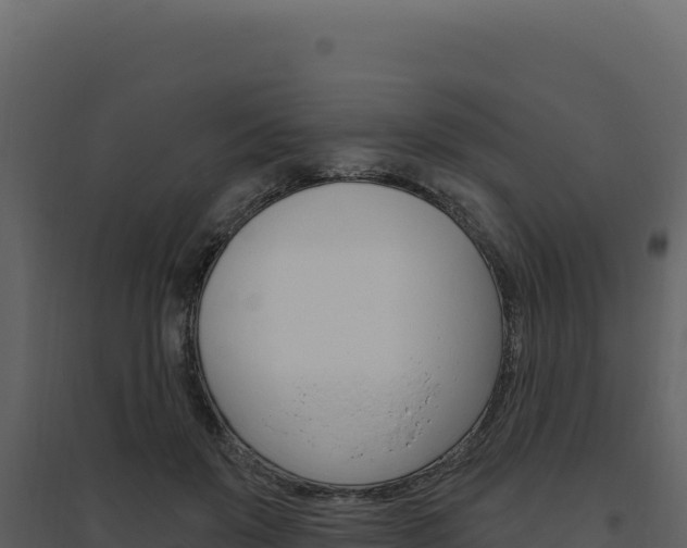 X0000094810503200711161007