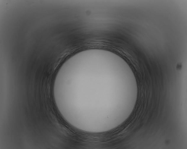 X0000094810504200711161007