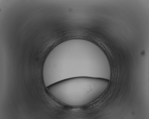 X0000094810505200711161007