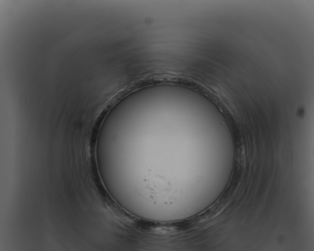 X0000094810508200711161007