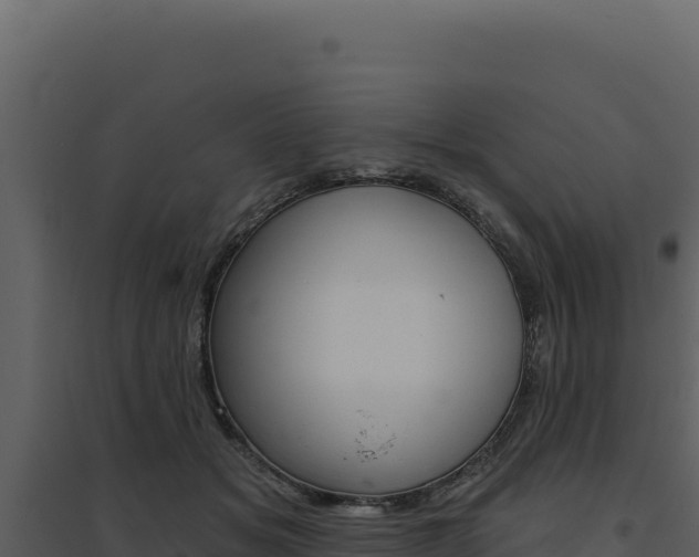 X0000094810509200711161007