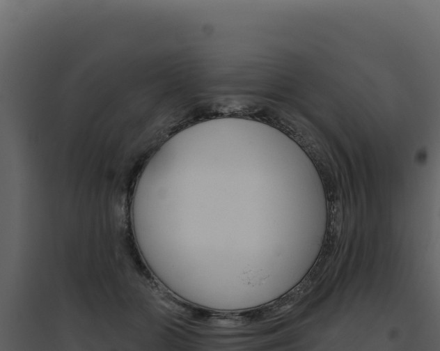 X0000094810510200711161007