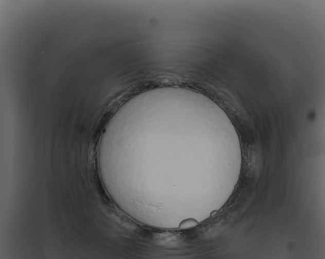 X0000094810511200711161007