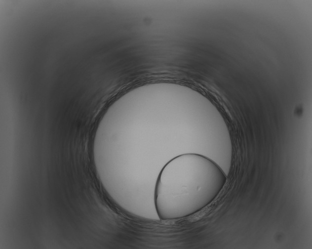 X0000094810512200711161007