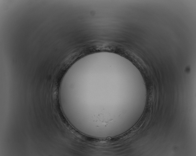 X0000094810513200711161007