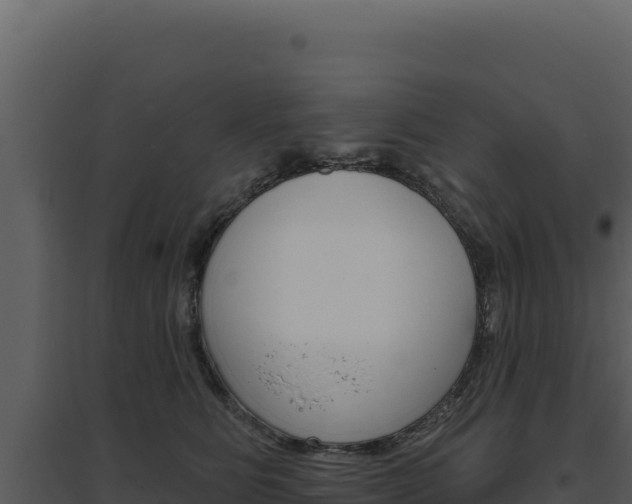 X0000094810515200711161007