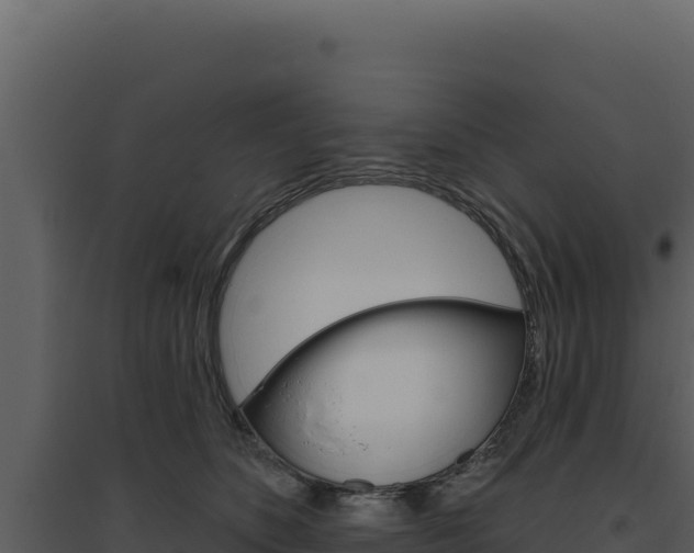 X0000094810516200711161007