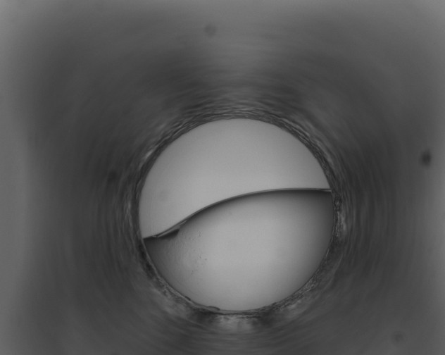 X0000094810520200711161007