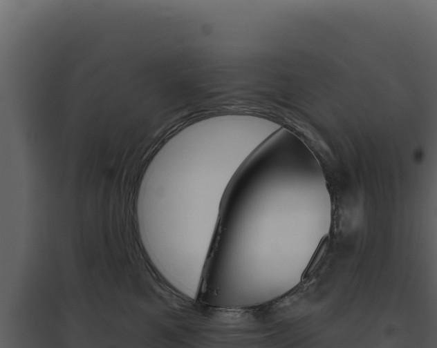 X0000094810521200711161007