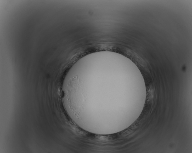 X0000094810522200711161007