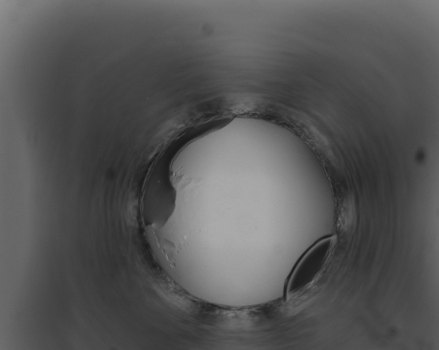 X0000094810524200711161007