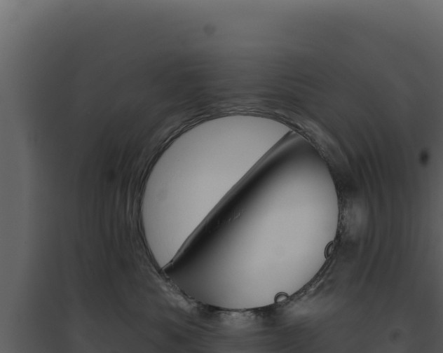 X0000094810525200711161007