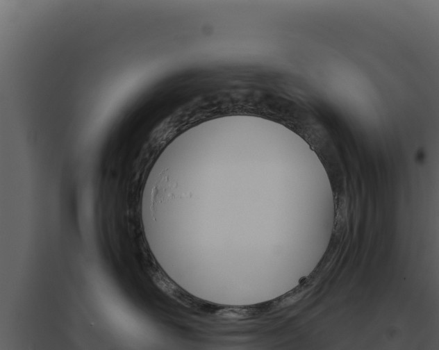 X0000094810526200711161007