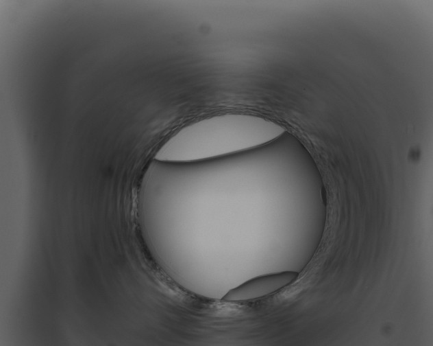 X0000094810528200711161007
