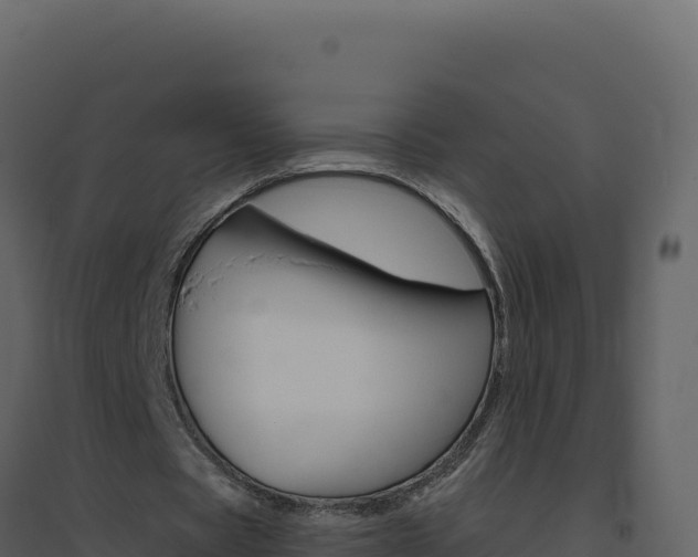X0000094810529200711161006