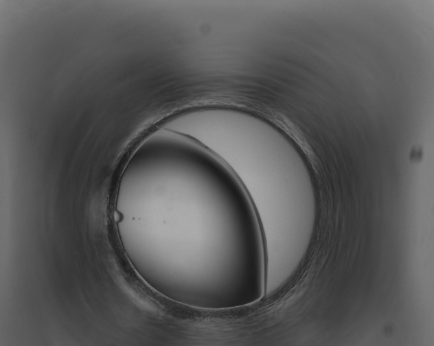 X0000094810530200711161006