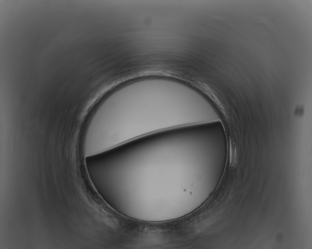 X0000094810531200711161006