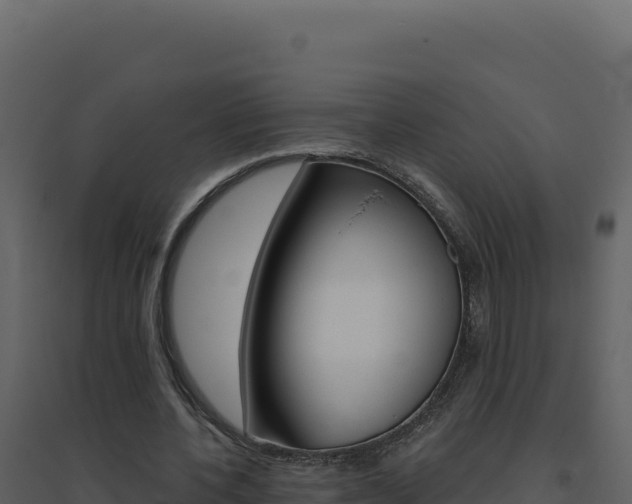 X0000094810532200711161006