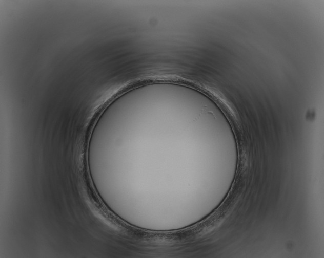 X0000094810533200711161006