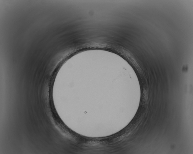 X0000094810534200711161006