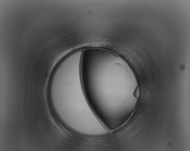 X0000094810536200711161006