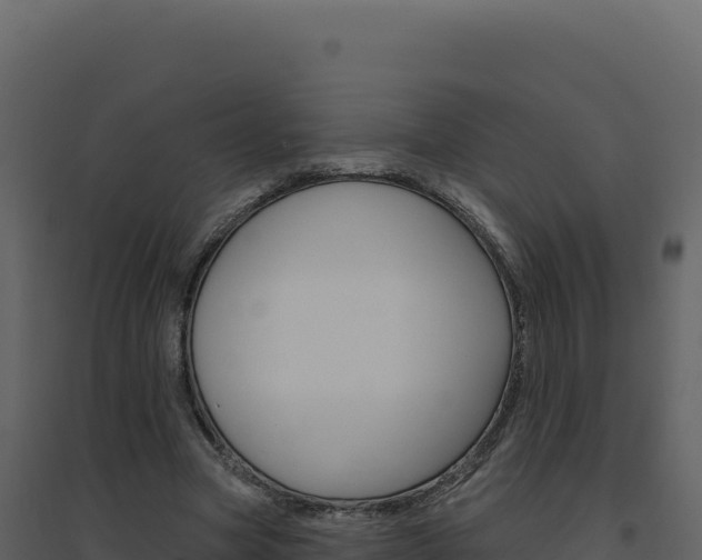 X0000094810537200711161006