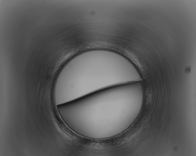 X0000094810538200711161006