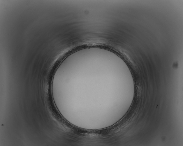 X0000094810539200711161006