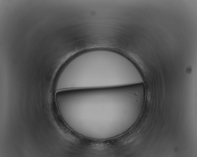 X0000094810540200711161006